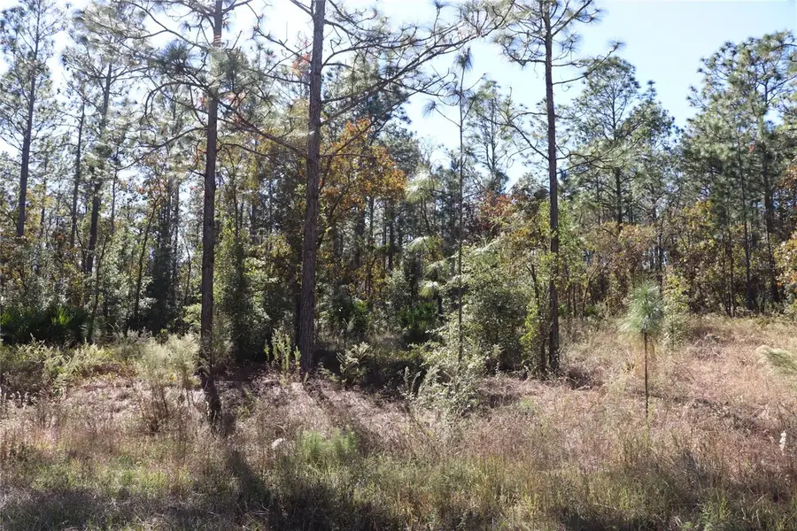 TBD SW 131st Circle, Ocala, FL 34481 - Image #2
