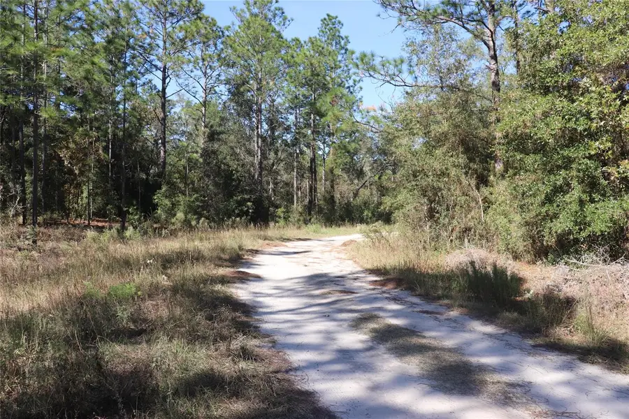 TBD SW 131st Circle, Ocala, FL 34481 - Image #3