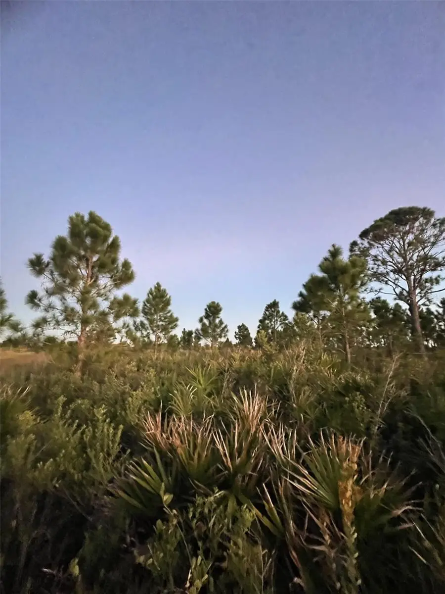 18572 NW 250th Street, Okeechobee, FL 34972 - Image #1