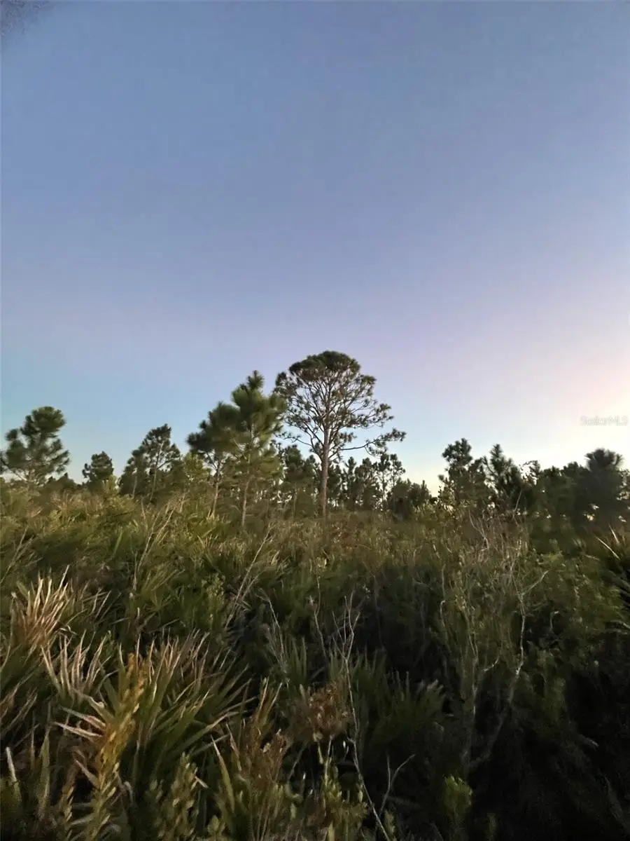 18572 NW 250th Street, Okeechobee, FL 34972 - Image #3