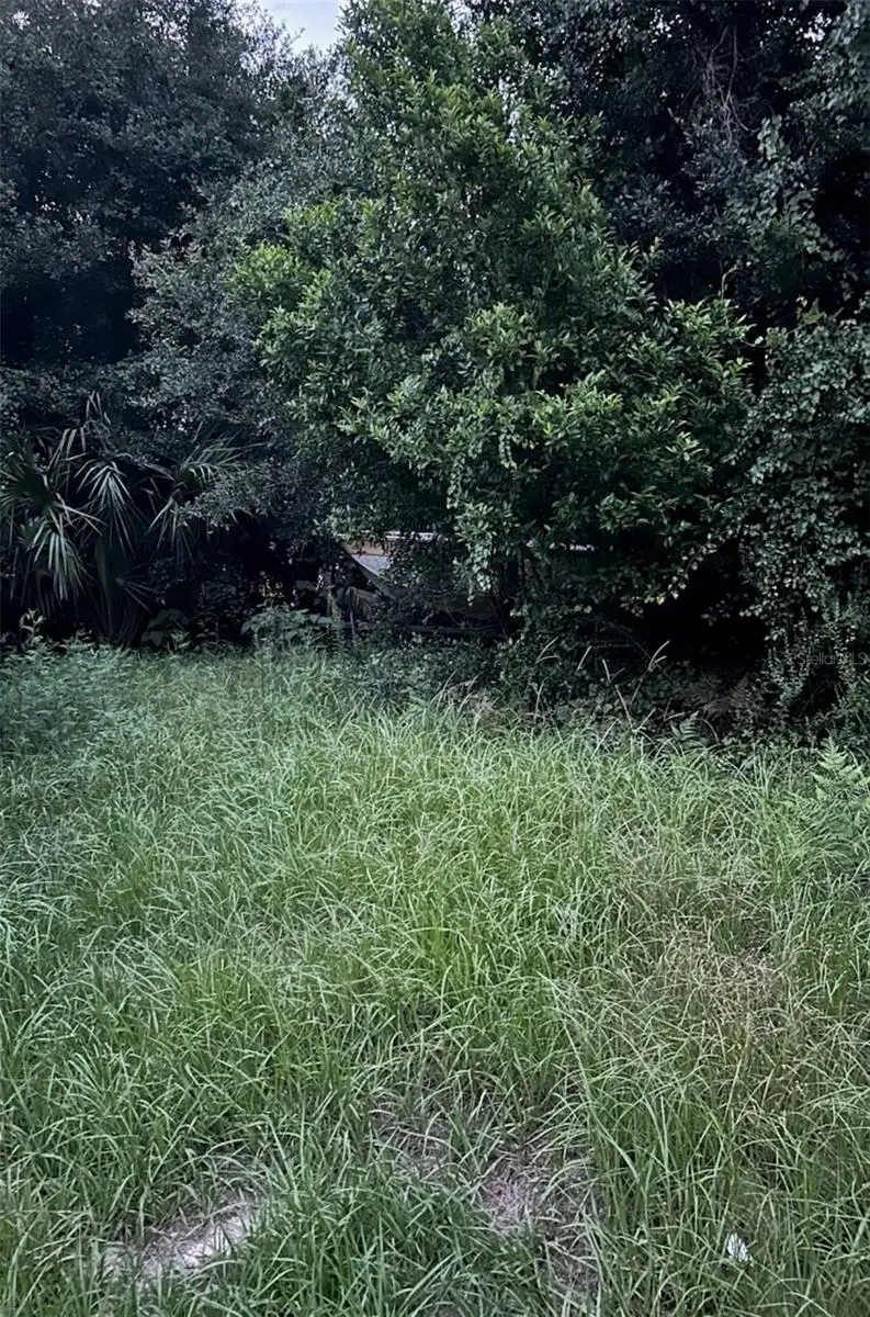 SE 135 Lane, Umatilla, FL 32784 - Image #2