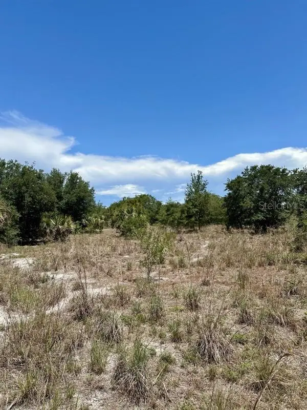 1701 Cabbage Wood Road, OKEECHOBEE, FL 34974