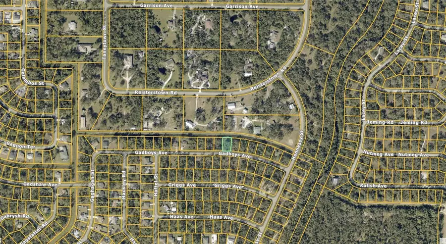 Gadboys Avenue, North Port, FL 34291 - Image #2