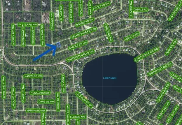 978 Archie Summers Road, Lake Placid, FL 33852 - Image #3