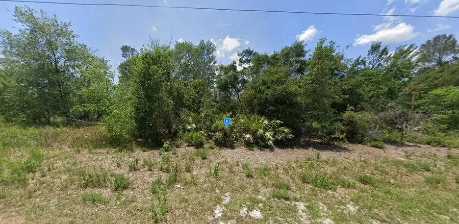 45705 Georgia Street, Paisley, FL 32767 - Image #2