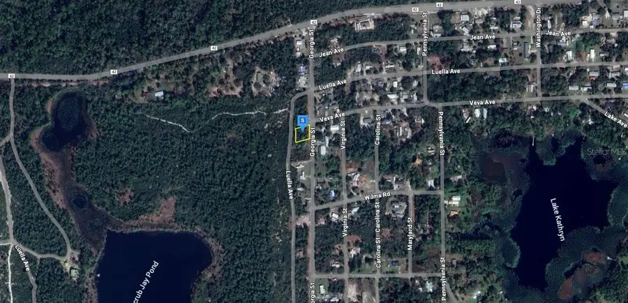 45705 Georgia Street, Paisley, FL 32767 - Image #3