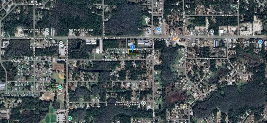 7689 W Briarpatch Street, Homosassa, FL 34446 - Image #3
