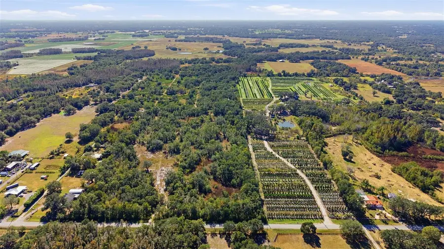 Bruton Road, Plant City, FL 33565 - Image #3