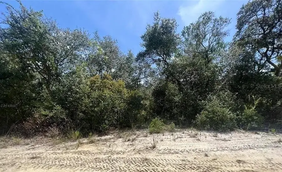 TBD NE 239th Place, Fort McCoy, FL 32134 - Image #3