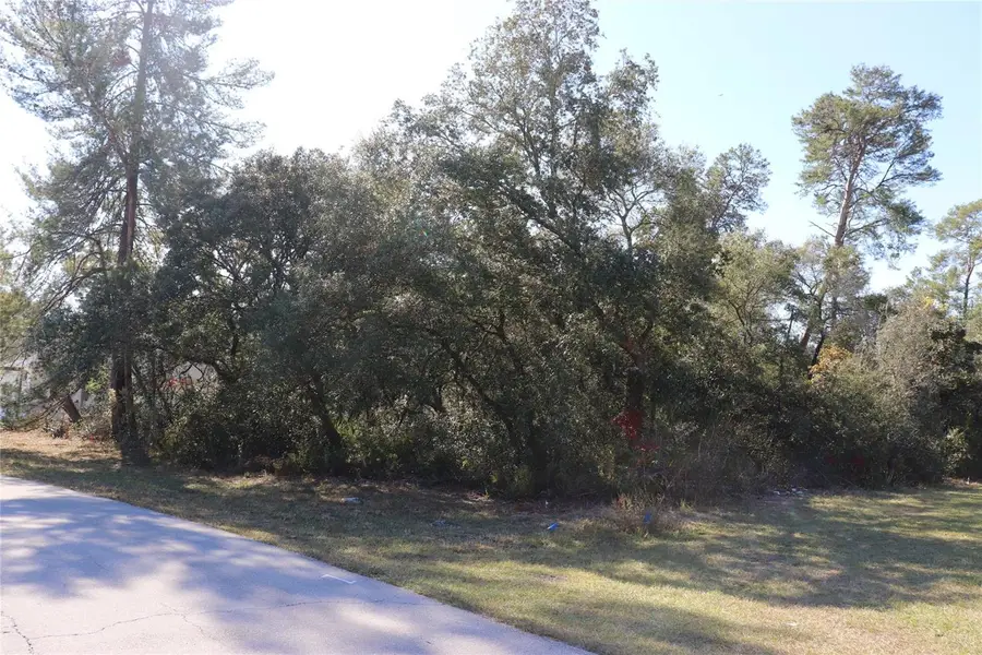 TBD Marion Oaks Golf Road, Ocala, FL 34473 - Image #2