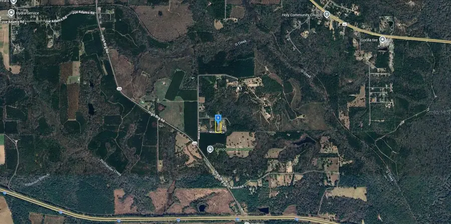 299 Mitchell Circle, Quincy, FL 32351 - Image #3