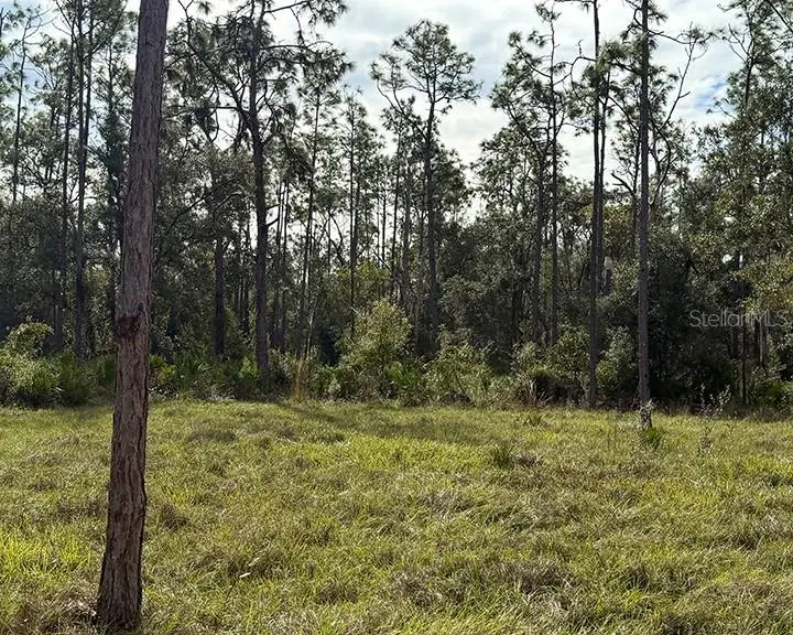Sr-70 E, Myakka City, FL 34251 - Image #3