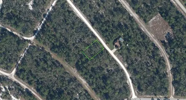 1140 Heron Street, LAKE PLACID, FL 33852