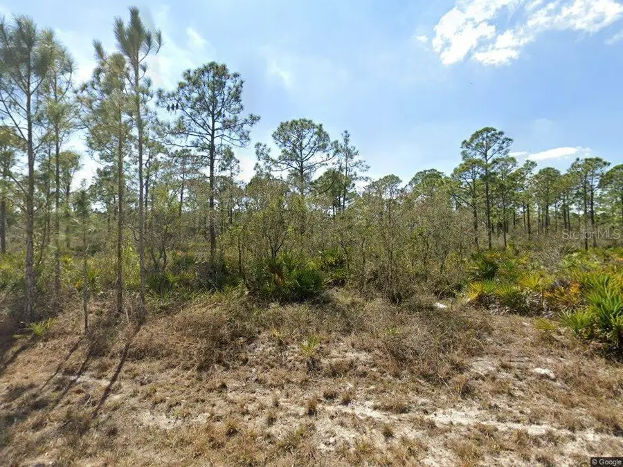 1140 Heron Street, Lake Placid, FL 33852 - Image #3