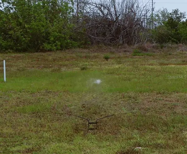 1321 SW 21st Avenue, CAPE CORAL, FL 33991