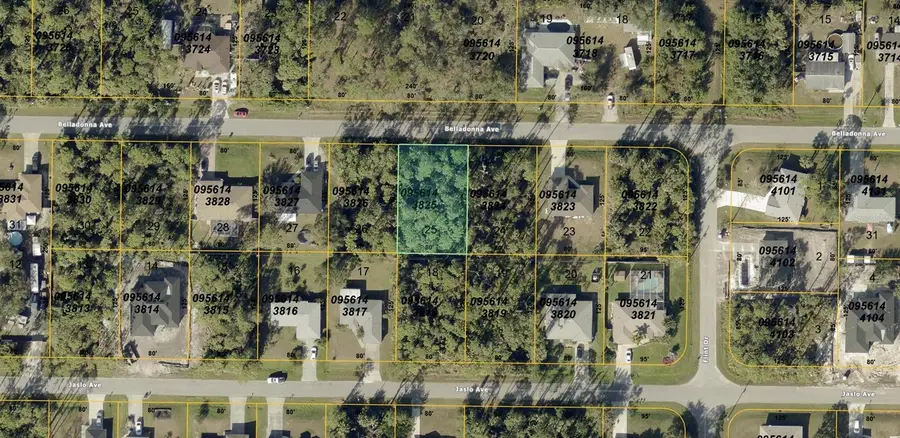 Belladonna Avenue, North Port, FL 34286 - Image #2
