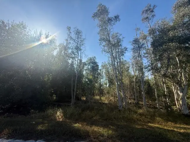 27335 Las Lomas Drive, Punta Gorda, FL 33955 - Image #1