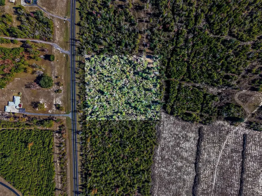 Hwy 90, Marianna, FL 32446 - Image #2