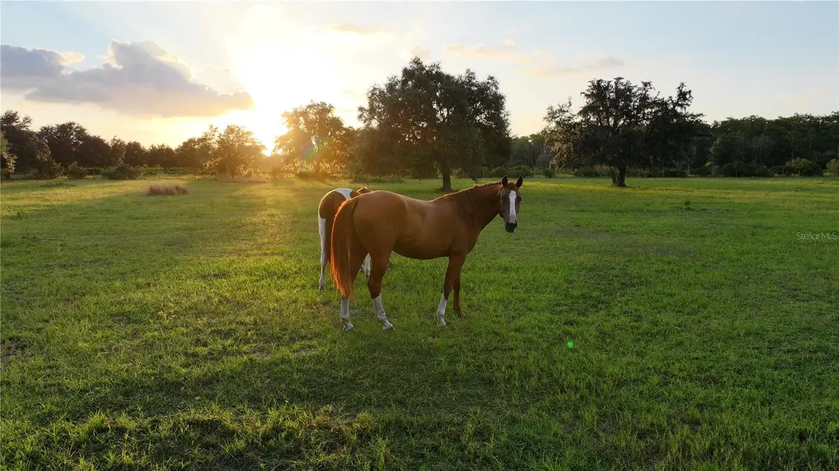 45855 Clay Gully Road, Myakka City, FL 34251 - #1