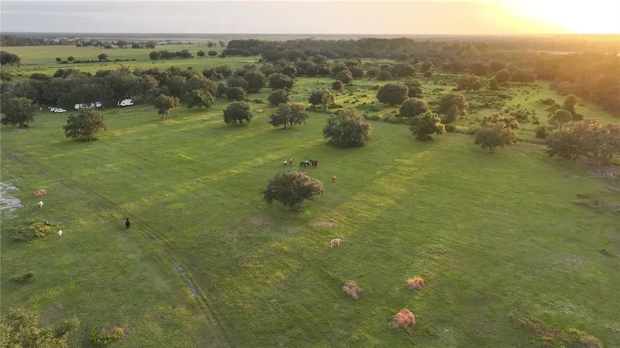 45855 Clay Gully Road, Myakka City, FL 34251 - #2