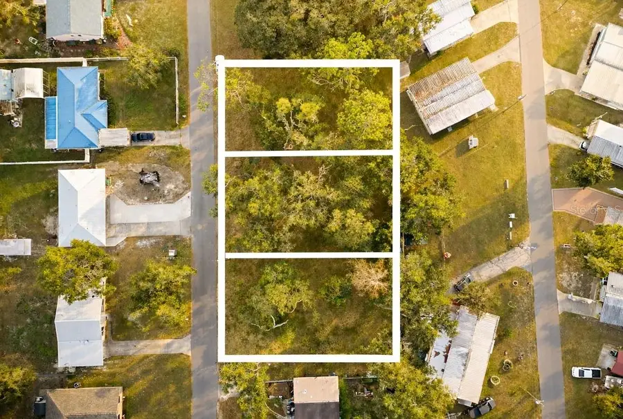 0 County Rd 463, Lake Panasoffkee, FL 33538 - Image #2