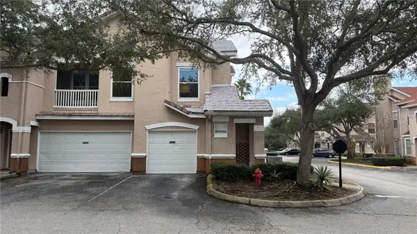 10414 Villa View Circle, TAMPA, FL 33647