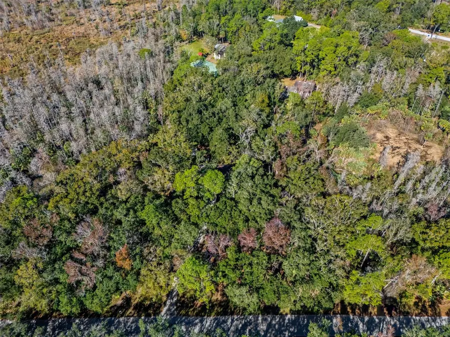 8725 Quail Run Drive, Wesley Chapel, FL 33544 - Image #2