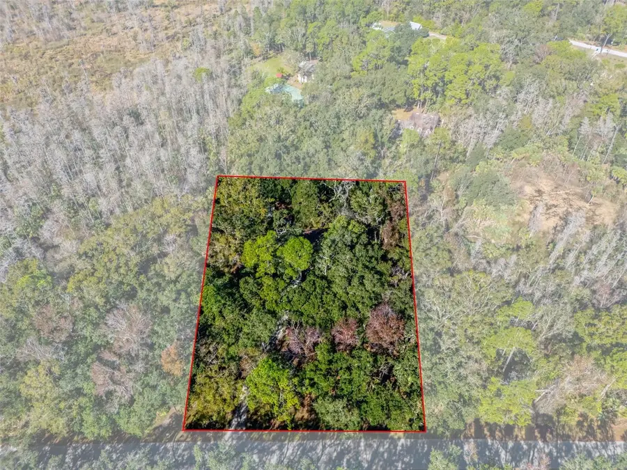 8725 Quail Run Drive, Wesley Chapel, FL 33544 - Image #3