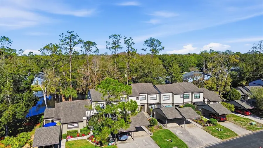 405 Woods Landing Trail, Oldsmar, FL 34677 - Image #2