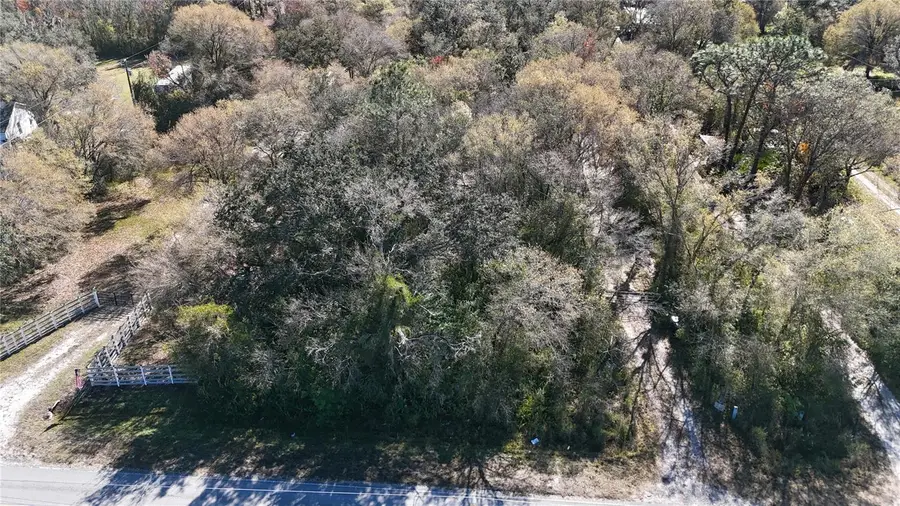 36424 Singletary Road, Myakka City, FL 34251 - Image #3