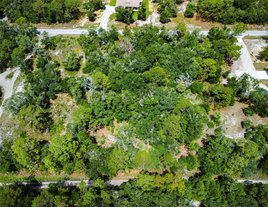 10133 N Marigold Terrace, Crystal River, FL 34428 - Image #3