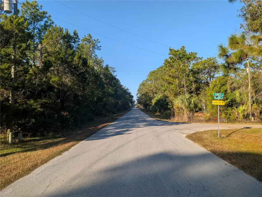 W Rosedale Drive, Homosassa, FL 34448 - Image #3