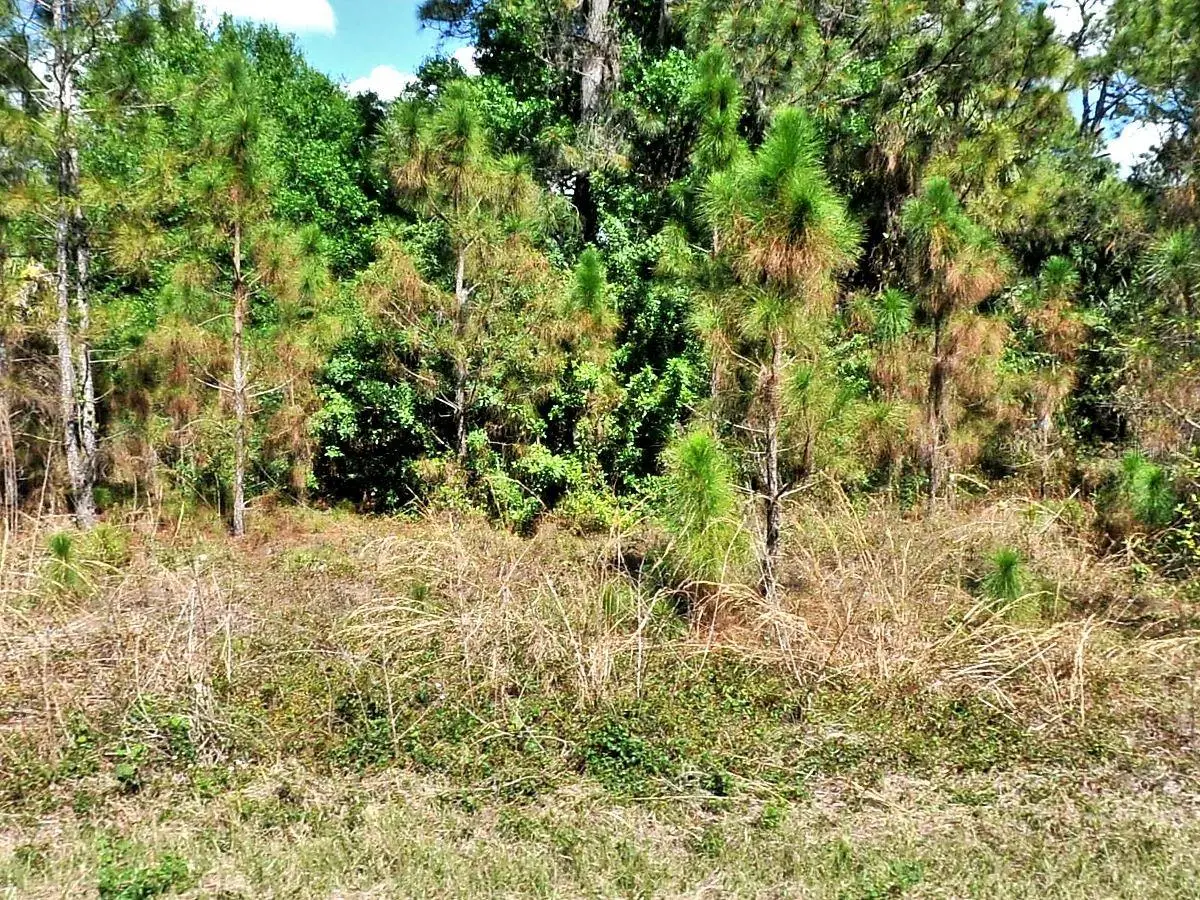 Bignay Road, North Port, FL 34288 - Image #1