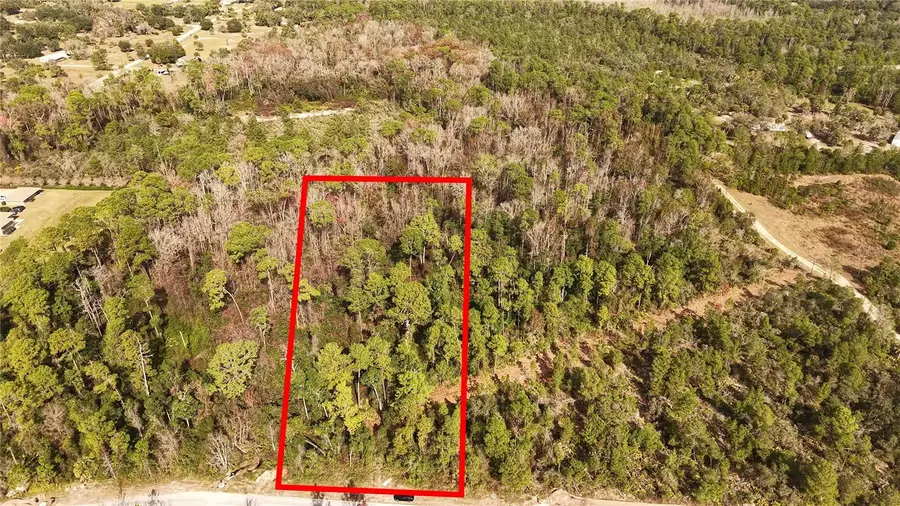 Forehand Road, Davenport, FL 33896 - #3