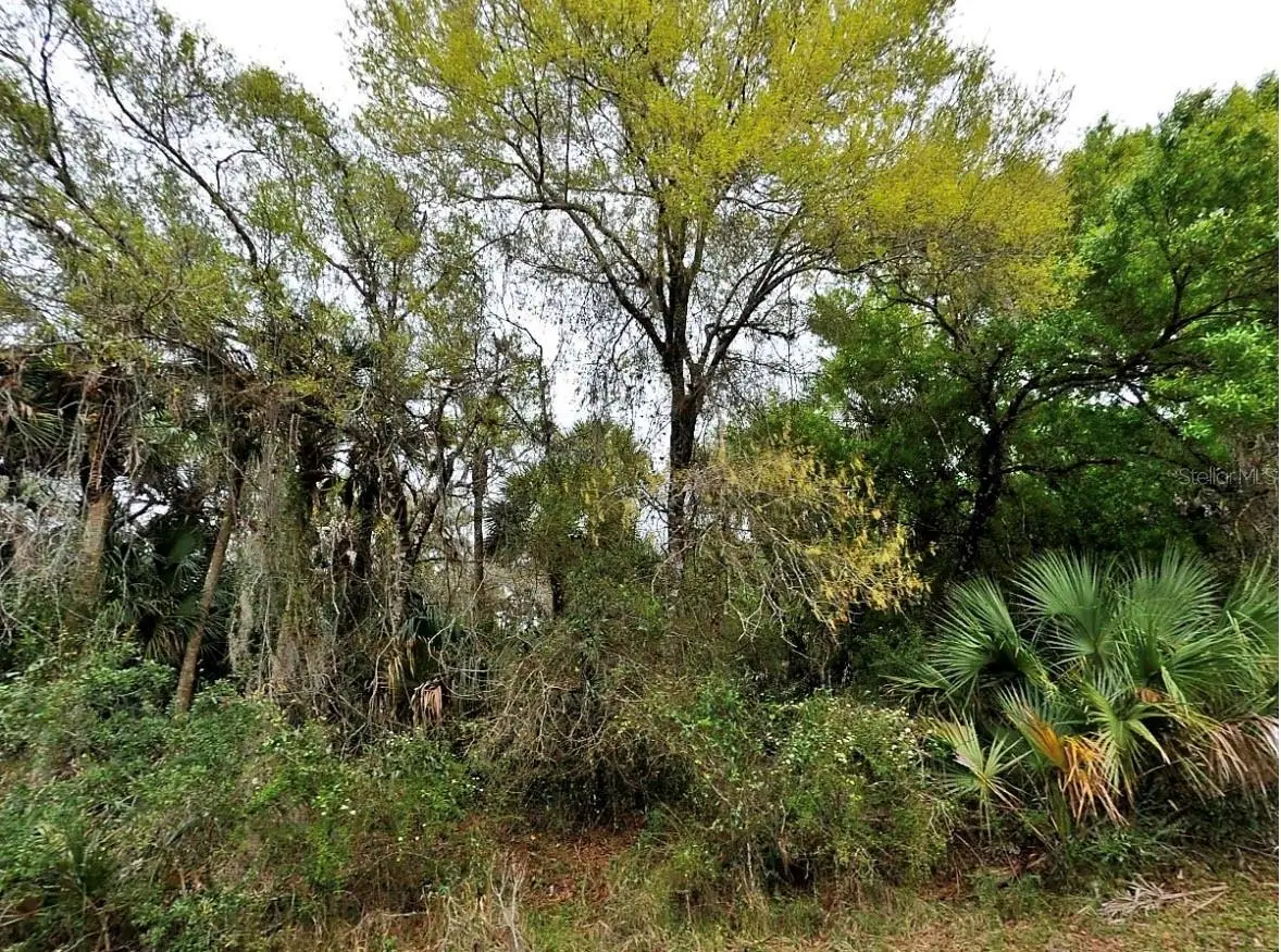 Backert Rd., North Port, FL 34291 - #1