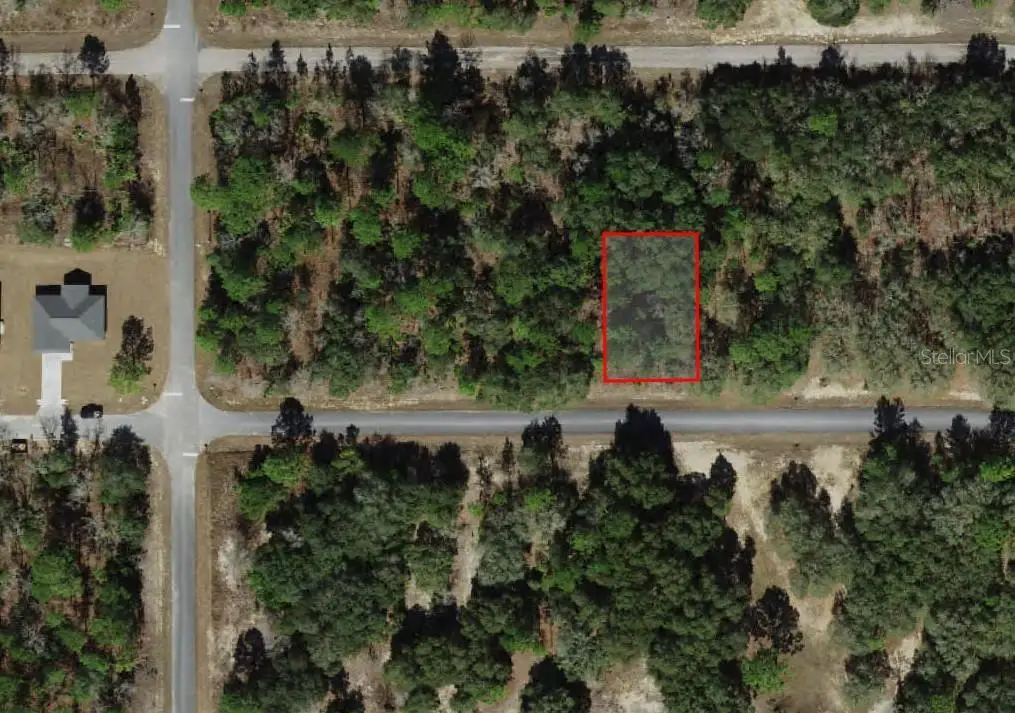 1451 W Dolores Drive, Citrus Springs, FL 34434 - Image #1