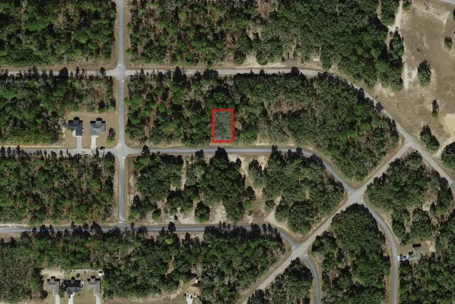 1451 W Dolores Drive, Citrus Springs, FL 34434 - Image #2