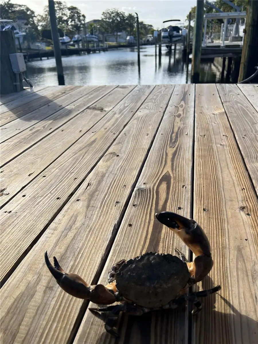 303 Morningside Drive, Palm Harbor, FL 34683 - Image #2