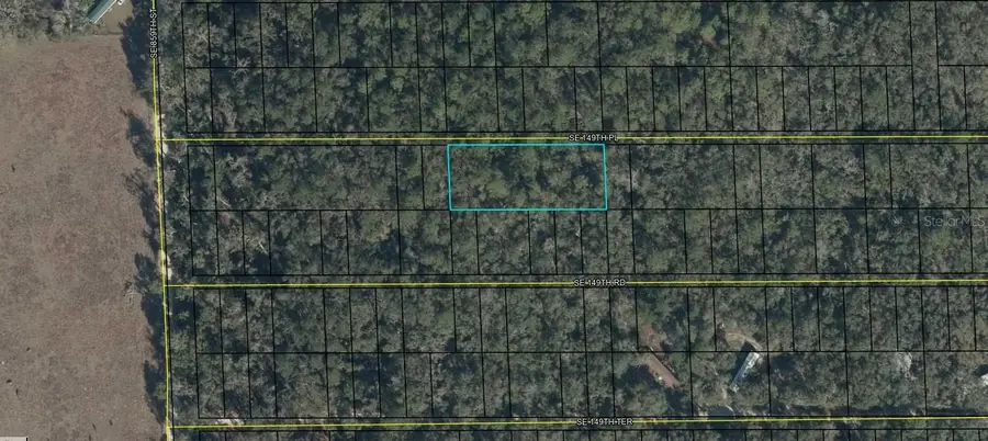 SE 149th Place, Old Town, FL 32680 - #2