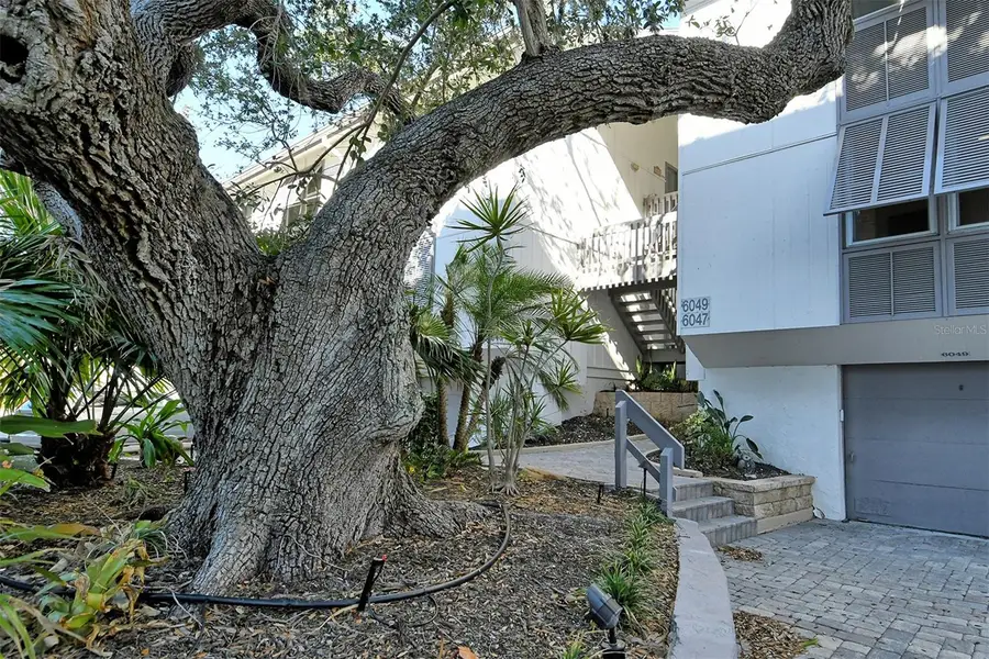 6047 E Peppertree Way #224, Sarasota, FL 34242 - Image #3