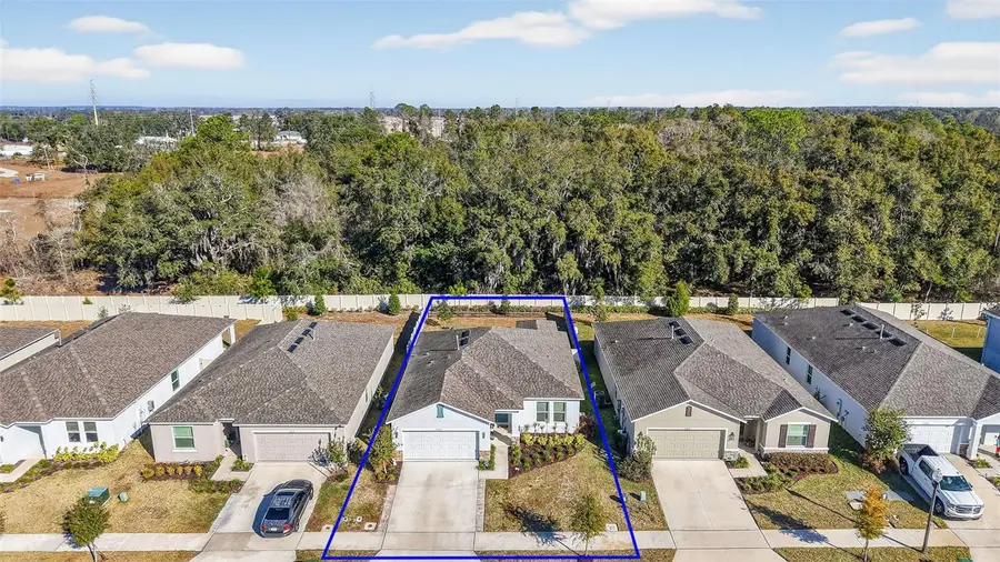 33692 Sky Blossom Circle, Leesburg, FL 34788 - #2