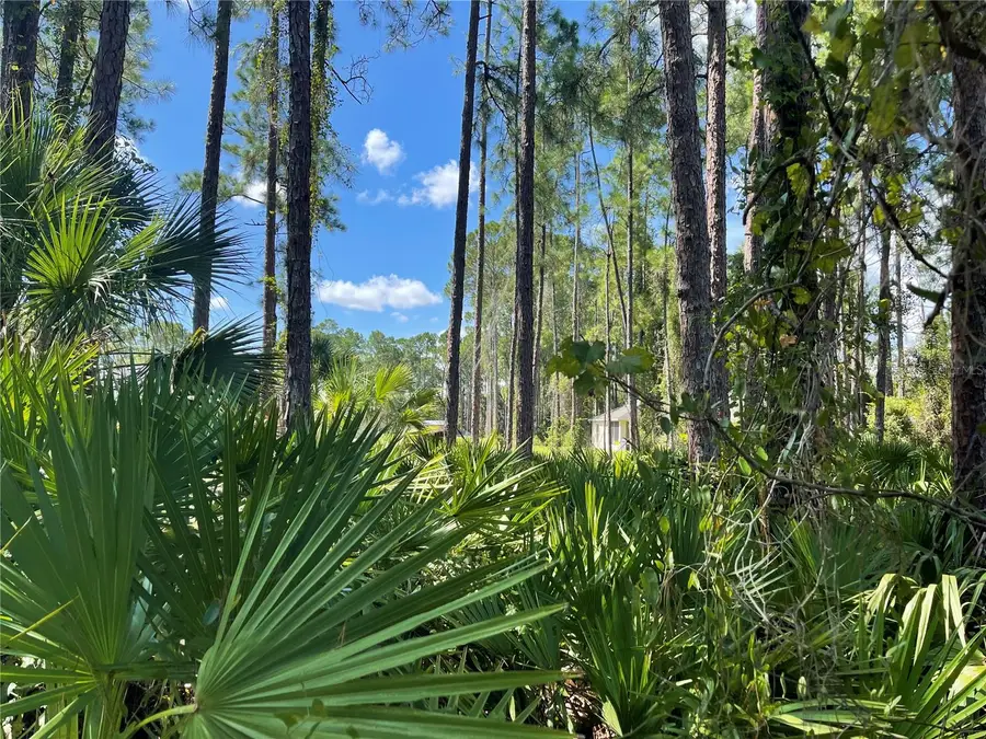 Noppenberg Avenue #LOT 30, North Port, FL 34288 - #2