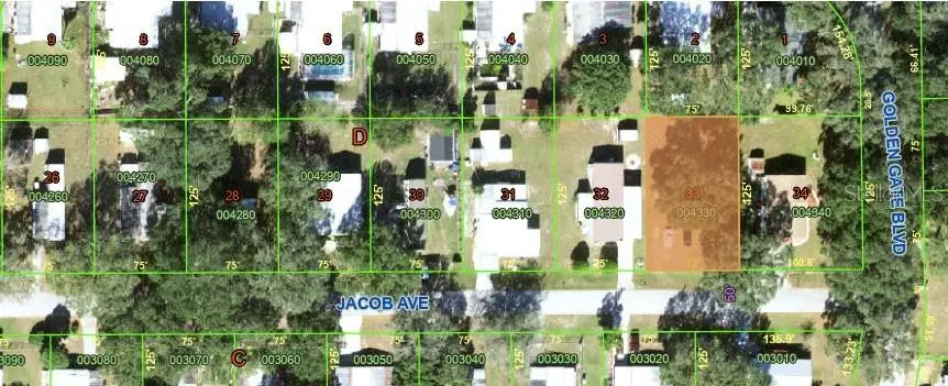 5534 Jacob Avenue, Polk City, FL 33868 - #3