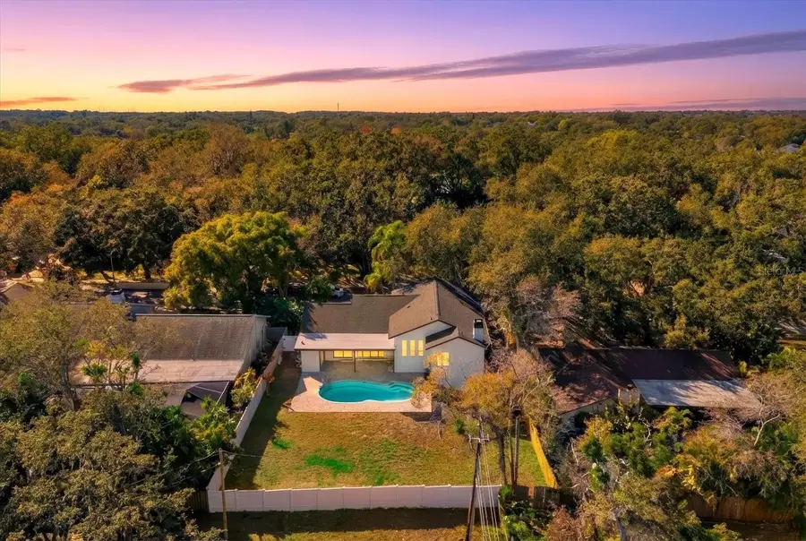 17 Pinewood Circle, Safety Harbor, FL 34695 - #3