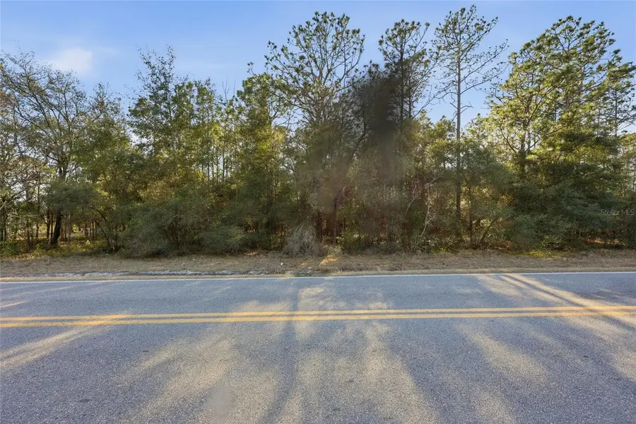 Gas Line Road, Keystone Heights, FL 32656 - Image #2