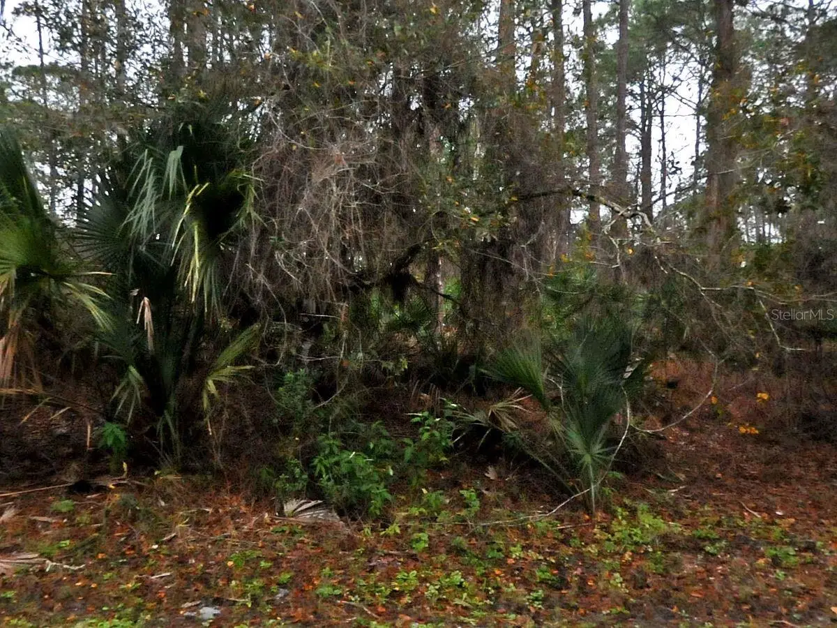 Neon Avenue, North Port, FL 34291 - #1