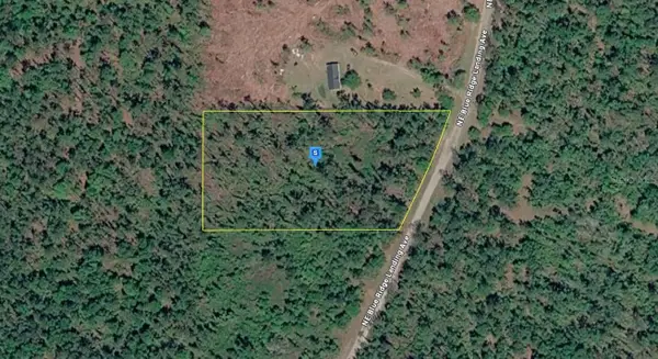 1177 NE Blue Ridge Landing Avenue, LEE, FL 32059