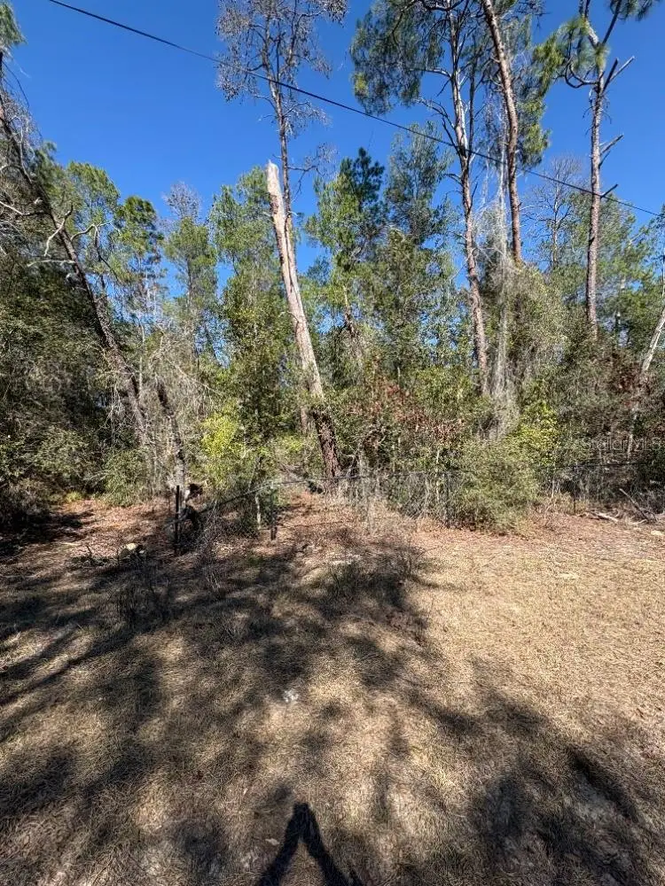 Old Deer Road, Paisley, FL 32767 - #3