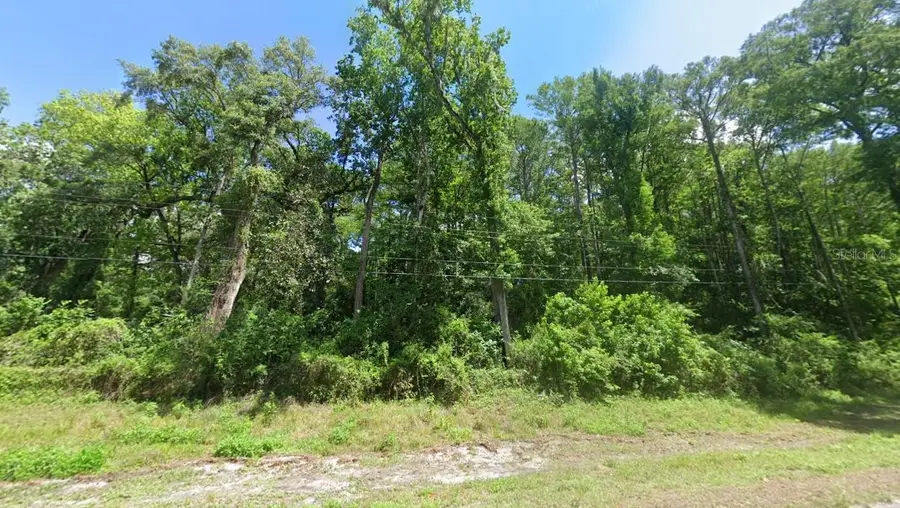 12131 SW 35th Dr, Webster, FL 33597 - #2