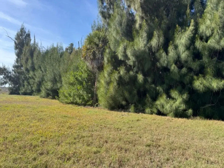 75 Green Dolphin Drive N, Placida, FL 33946 - #3